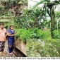 বানারীপাড়ায় সাবেক চেয়ারম্যান  টুকু ও তার স্ত্রী সুমির নয়নাভিরাম ছাদ বাগান