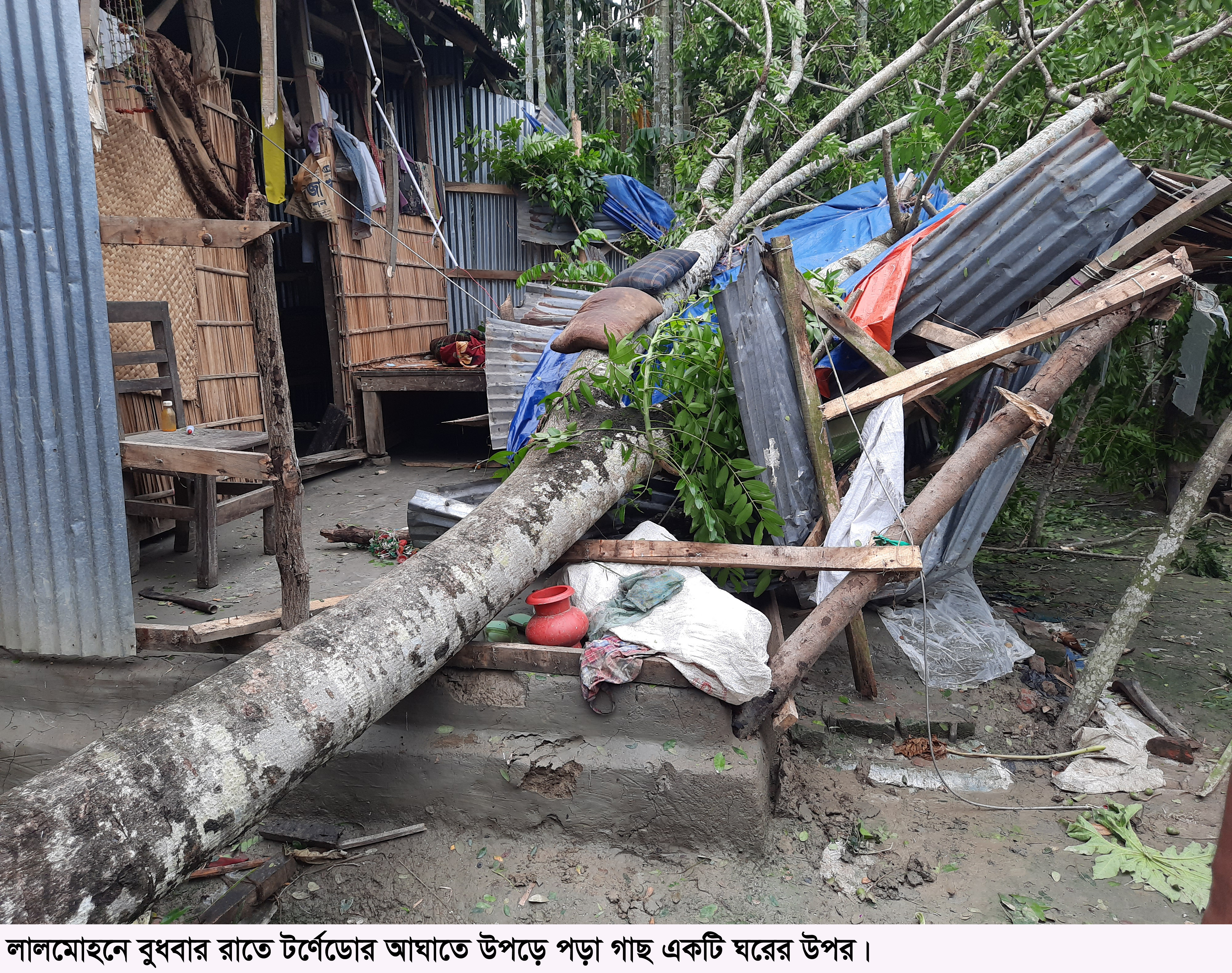 লালমোহন উপজেলায় গাছ পড়ে বিধ্বস্ত হওয়া ঘর বাড়ি।