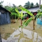 চরফ্যাশনে অমাবস্যার জো’র প্রভাবে উপকূলের নিম্নাঞ্চল প্লাবিত