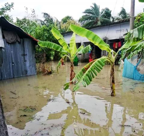 চরফ্যাশনে অমাবস্যার জো’র প্রভাবে উপকূলের নিম্নাঞ্চল প্লাবিত